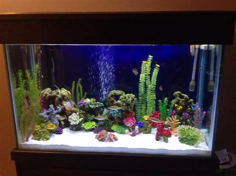 110 Gallon Tall Aquarium For Sale Reef2reef Saltwater And Reef