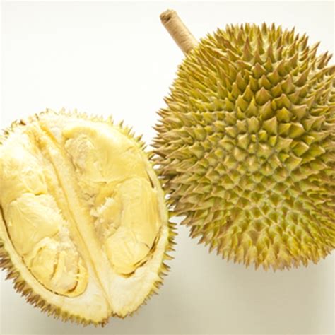 Find the perfect spiky fruit stock photo. The most controversial fruit in the world - Escoffier