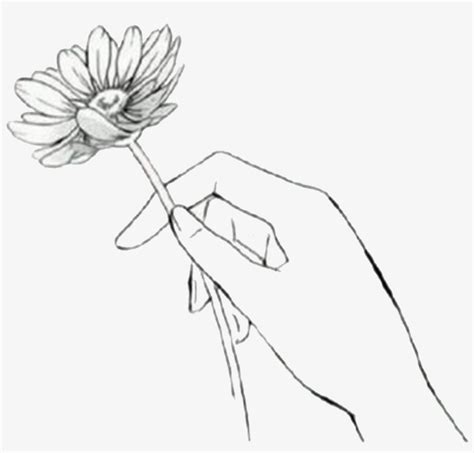 Drawn Manga Black And White Anime Flower In Hand Drawing Transparent
