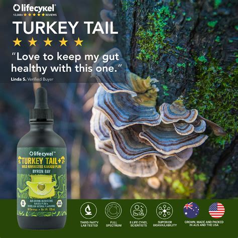 turkey tail mushroom extract — life cykel