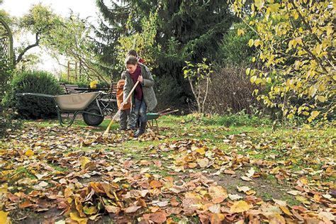 Weitere ideen zu pflanzen, garten, blumen. Garten im Herbst: Mähen, düngen und pflegen - Rottweil ...