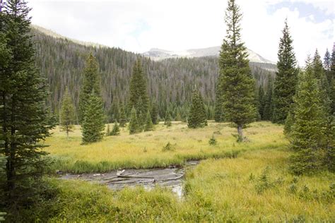 Little Yellowstone Via The La Poudre Pass Trail Outdoor Project