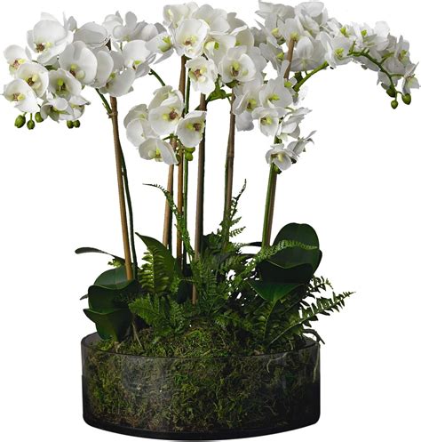 Bloom Artificial White Orchid And Fern Flower Arrangement Vase