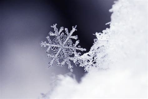 The Best Close Ups Of Snowflakes