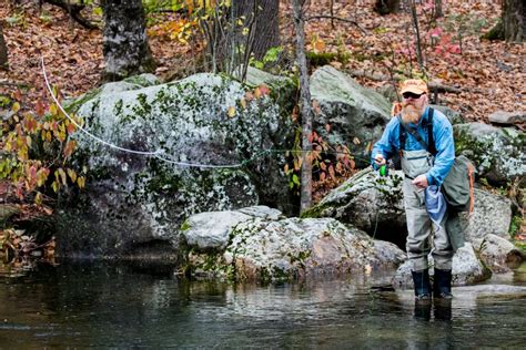 Fall Fly Fishing Gear Guide Trident Fly Fishing