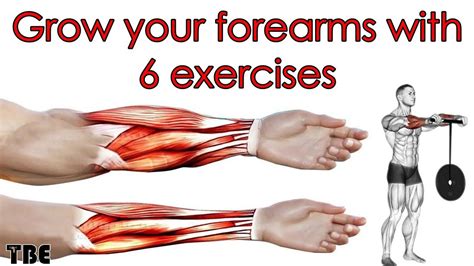 6 Best Exercises For Bigger Forearm Workout Forearm Muscle Growth In