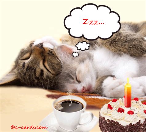 Catnapping Free Belated Birthday Wishes Ecards Greeting