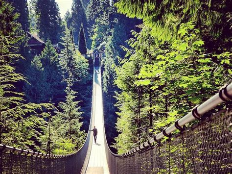Exploring Capilano Suspension Bridge Park Vancouver Travel Inspiration