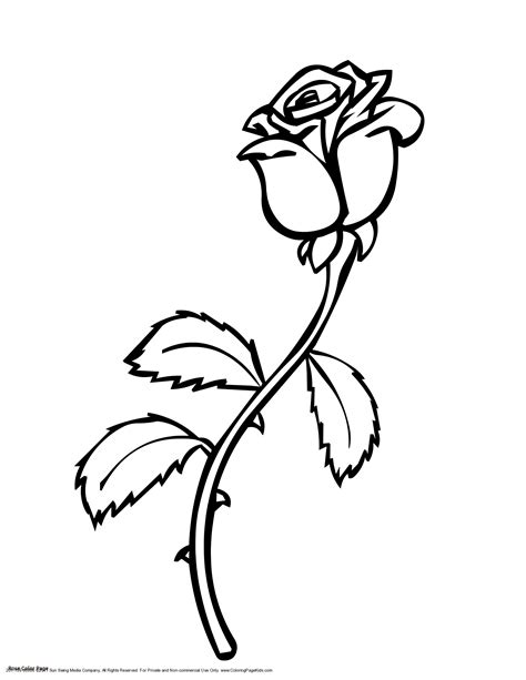 Red Rose Coloring Page At Getdrawings Free Download