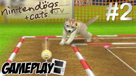 Nintendogs Cats Golden Retriever Gameplay 2 Ita Youtube