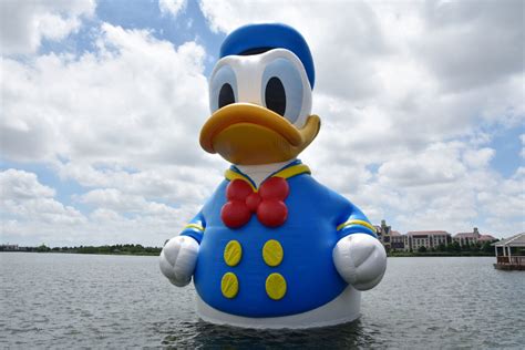 Where To Meet Donald Duck For His Birthday At Walt Disney