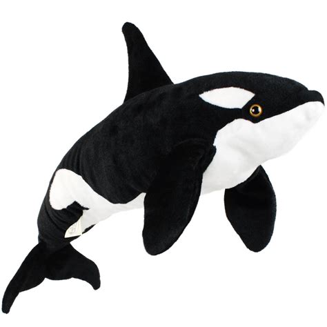 Octavius The Orca Blackfish Over 2 12 Foot Long Big Killer Whale