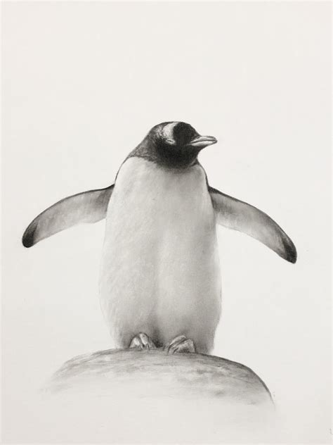 Almost Finished This Penguin Drawing Charcoal On Paper Penguin Sketch