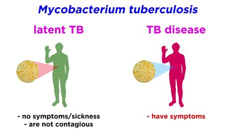 multidrug resistant tuberculosis mdr tb mycobacterium tuberculosis youtube