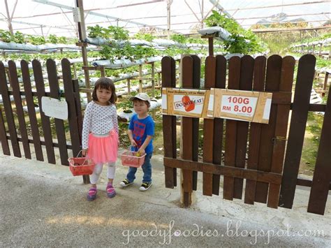 More attractions in genting highlands . GoodyFoodies: Genting Strawberry Leisure Farm, Gohtong ...