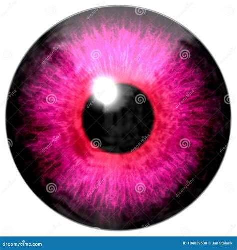 Detail Of Eye With Pink Colored Iris And Black Pupil Stock Illustration