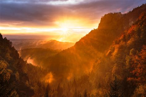 Forest Valley Day Starting Calming Sunrise 5k Wallpaperhd Nature