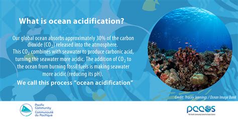Do You Know What Is Ocean Acidification The Pacific Community