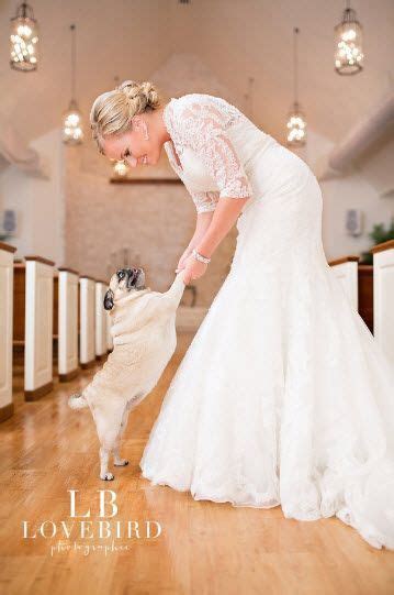 How To Include Mans Best Friend In A Wedding Wedding Tattle Uk