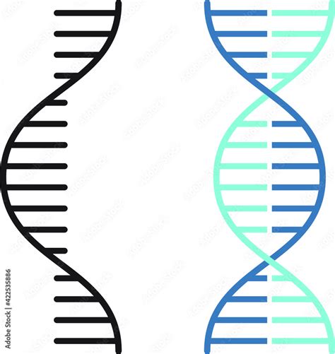 Rna And Dna Related Vector Thin Line Icon Stock Vector Adobe Stock