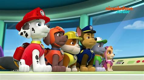 Paw Patrol La Patpatrouille Compilation Canine Nickelodeon