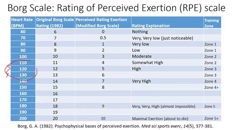 Borg Rate Of Perceived Exertion Scale