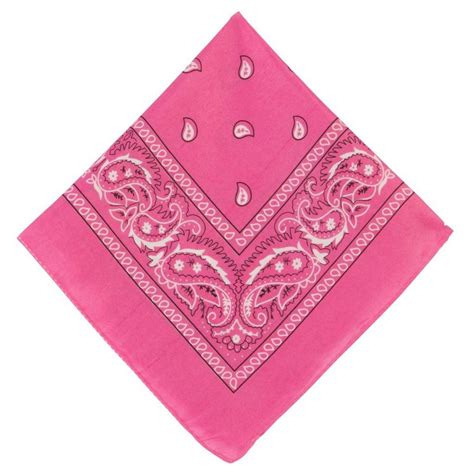 Pink Paisley Bandana 20in X 20in Party City