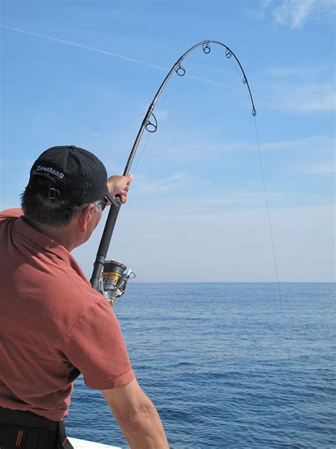 Another Days Bluefin Popping Adventure In Cape Cod Saltwater Fishing Discussion Board