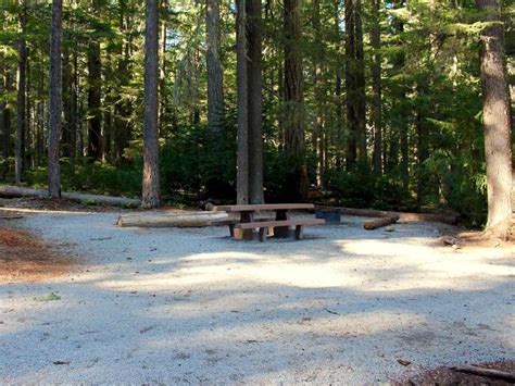 A popular and diverse fishery close to portland. Site 009, North Arm (Timothy Lake) Campground - Recreation.gov