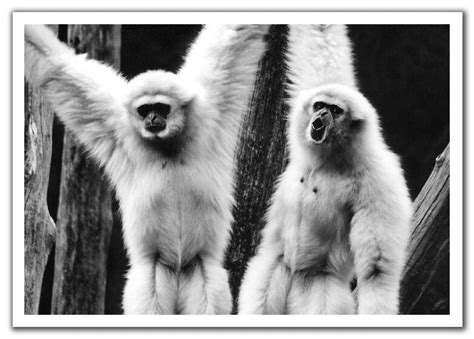 Very Cute Images - XciteFun.net