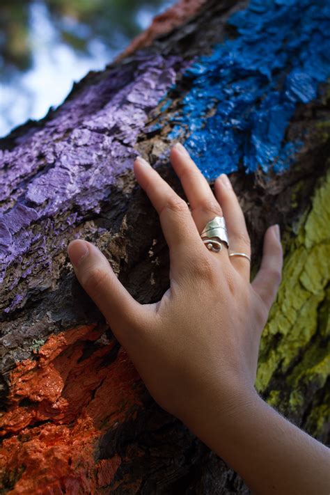 Fotos gratis mano árbol naturaleza bosque rock planta luz de