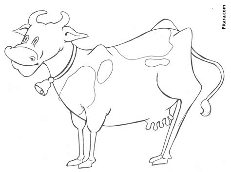 Cow Coloring Page Pitara Kids Network