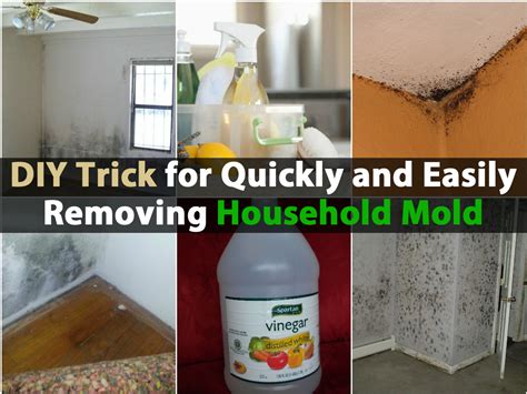 Diy Trick For Quickly And Easily Removing Household Mold Diy And Crafts