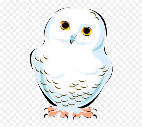 Snowy Owl Clip Art Image Vector Graphics Cute Snowy Owl