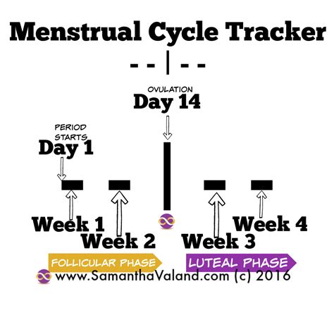 Period Tracker Samantha Valand