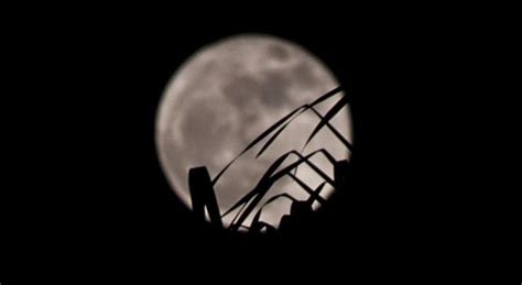 International Observe The Moon Night 2019 Whats Up Nasajpl Edu