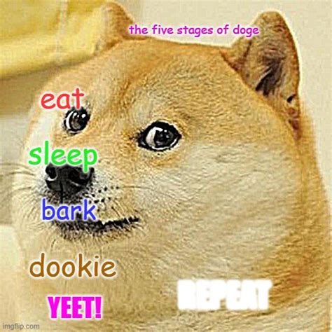 Cuteanimals Group Doge Memes And S Imgflip