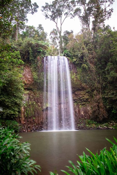 Best Waterfalls Near Cairns 17 Waterfalls You Have To See ⋆ We Dream Of Travel Blog
