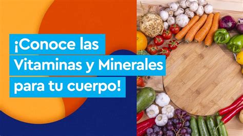 Vitaminas Y Minerales Esenciales Youtube