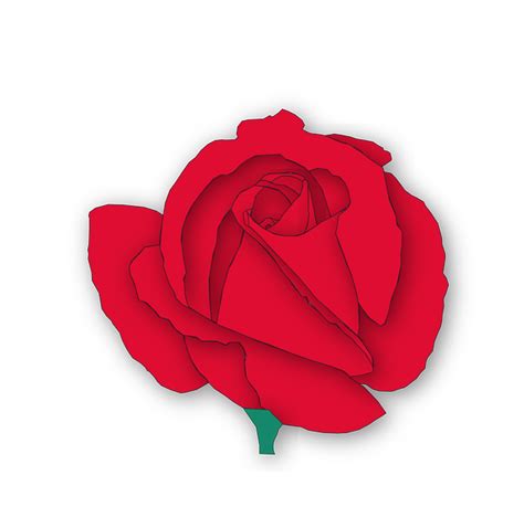 Free Red Rose Cartoon Download Free Red Rose Cartoon Png Images Free