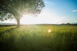 In this trick, we are going to discuss how to download any shutterstock image without watermark for free. Nature Sky Summer Sun Free Stock Photo - NegativeSpace