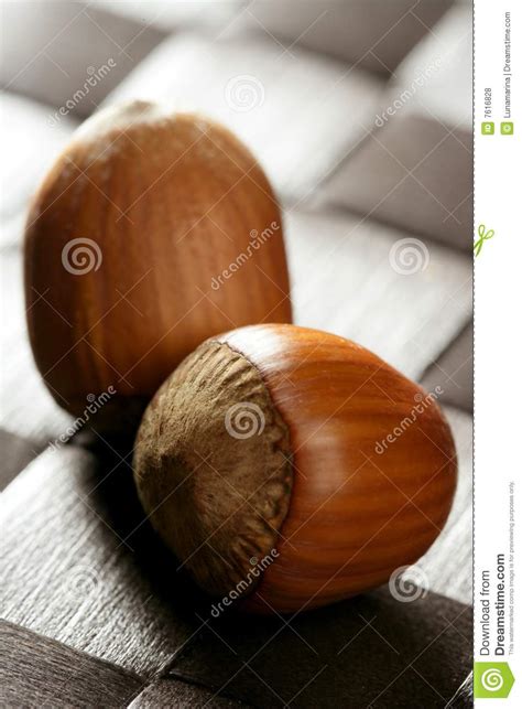 Hazelnuts Macro Detail Stock Photo Image Of Closeup