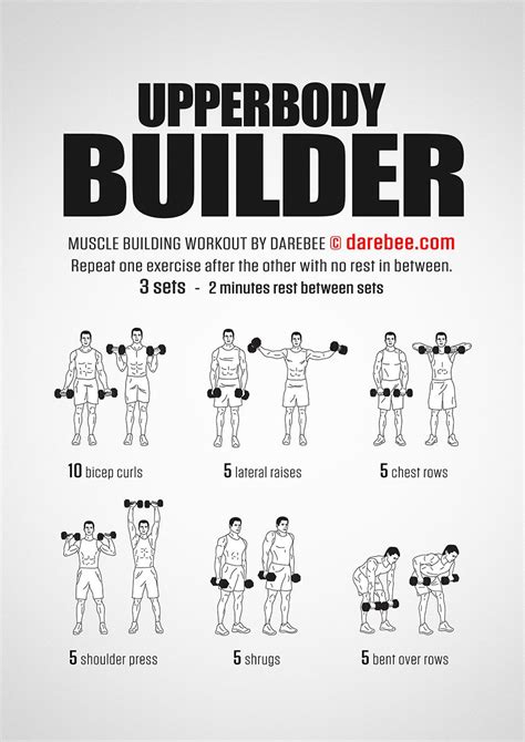 Upperbody Builder Workout Dumbbell Workout Plan Muscle Building