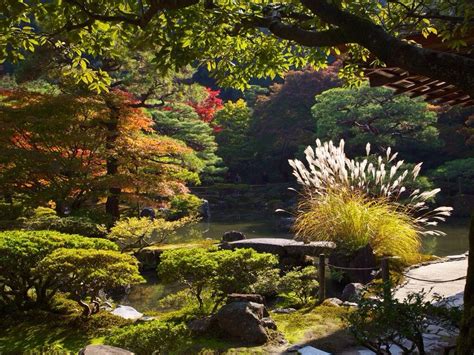 Ostentatious and exotic, a waterfall is bound to be an attention getter in any landscape. Japanese Garden. | Japanese garden, Garden waterfall ...