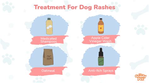 Dog Rashes Causes Treatments Symptoms And Cures The Goody Pet