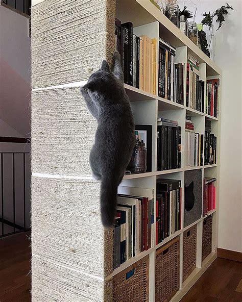 We did not find results for: Ikea Kallax Hack for Cats | Meow Lifestyle in 2020 | Kallax ikea, Cat climbing wall, Diy cat tree