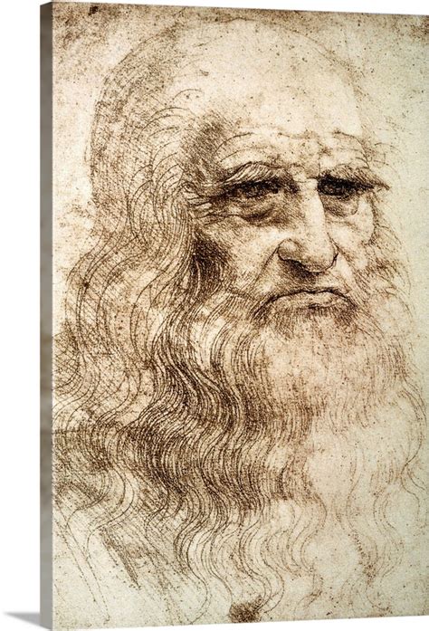 Leonardo Da Vinci Self Portrait Ar