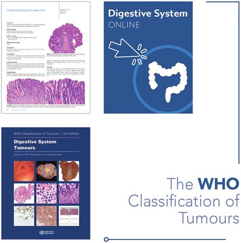 The World Health Organization Who Classification Of Tumours Fifth