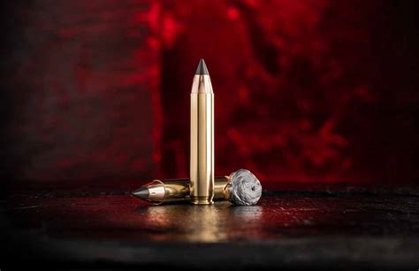 Saami Accepts The Winchester 350 Legend Gun Digest