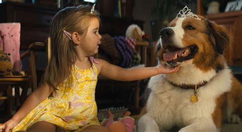 Az egy kutya négy útja megérkezett a mozikba. A Kutya Négy Útja Online Film / Bruce cameron bestsellere ...